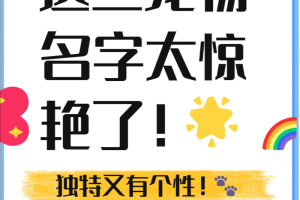 如何为你的宠物取一个既独特又有意义的名字