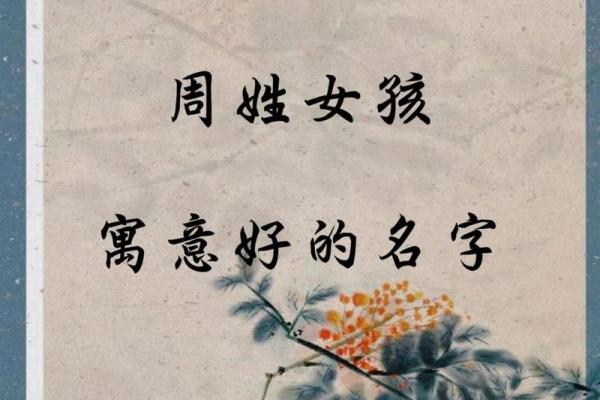 周姓男孩女孩起名指南，助力未来成就