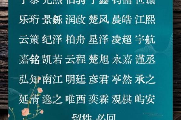 童字在取名中的寓意与象征意义解析