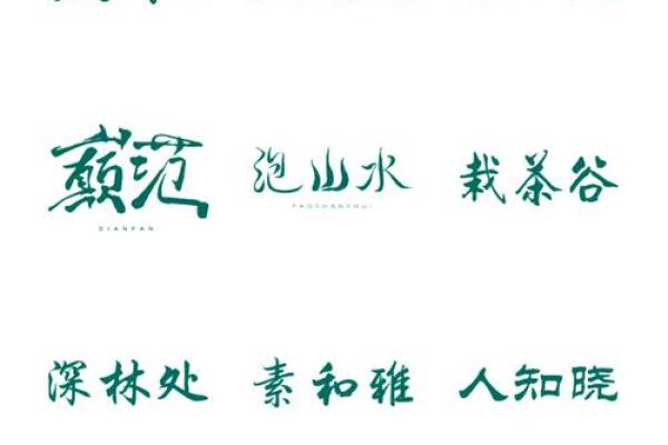精选三个字公司名方案 打造企业独特标识