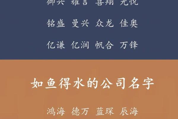 适合水元素的公司名字创意大全