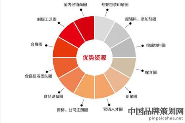 创意与专业结合的体育公司命名指南
