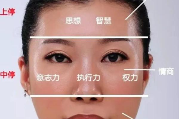 面相图片分析：如何通过面部特征识别个性与运势