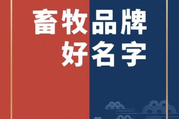 如何通过在线起名工具为公司创造独特品牌形象