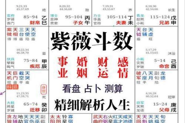 免费算命生辰八字解析，揭示命运走向的秘密