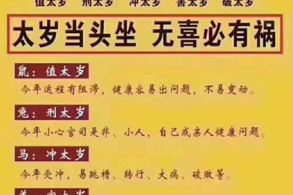 命理花与人生运势：如何通过花卉选择改善命运