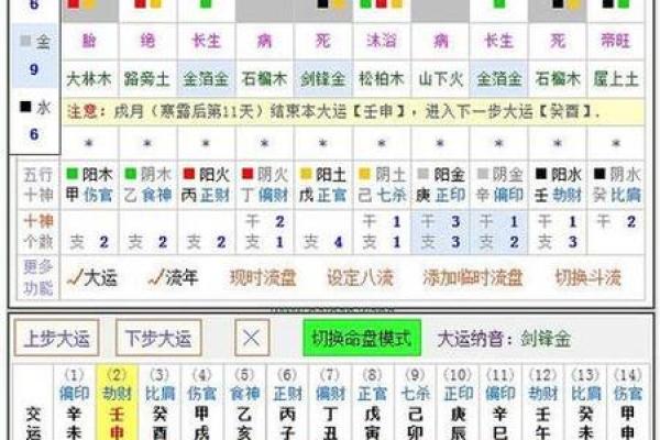 了解命理四柱八字排盘的深层含义与应用技巧