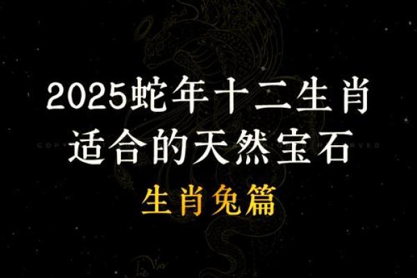 兔年家居风水摆放指南 提升家庭运势的巧妙布局