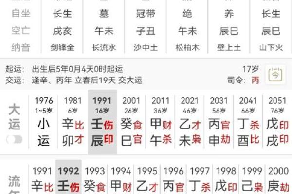 林丽命理与事业成功：如何通过命理选择正确职业道路