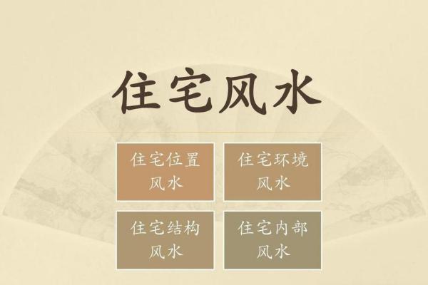 家居风水与肾脏养生：巧妙布置提升运势