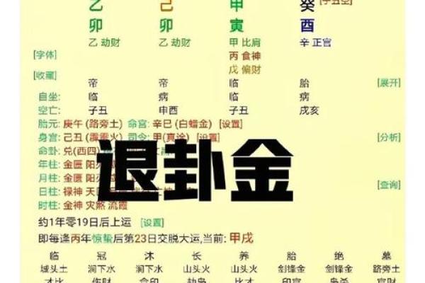 八字与家居风水的完美结合：如何根据八字调整家居布局