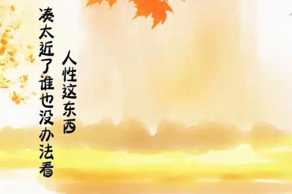 了解自己的命运轨迹，免费命理测算带你走得更远