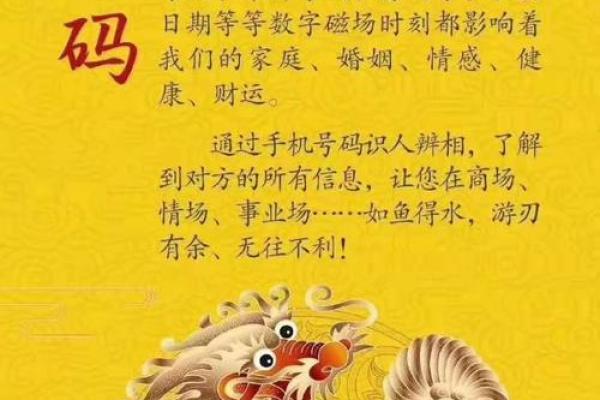 命理何影响人生运势？探究数字背后的秘密