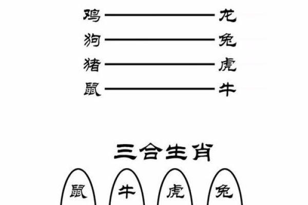 命理风水堂：传统风水与命理学的完美结合