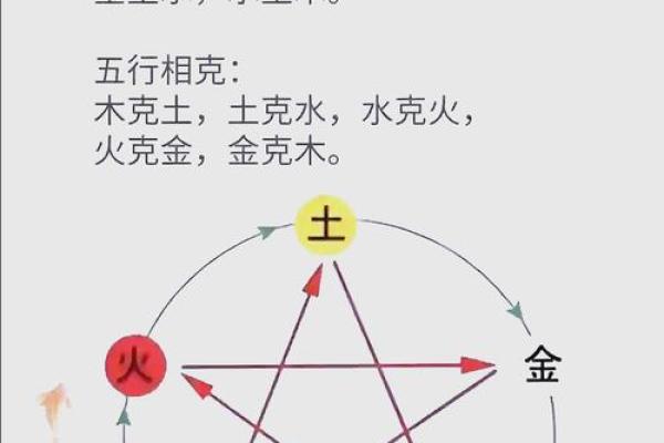林峰命理中的五行理论对健康的影响