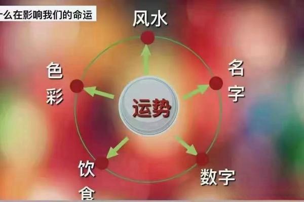 命理馆与现代生活：如何通过命理学改善运势