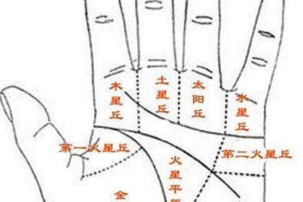 金星命理解析：揭示你的爱情与人际关系密码