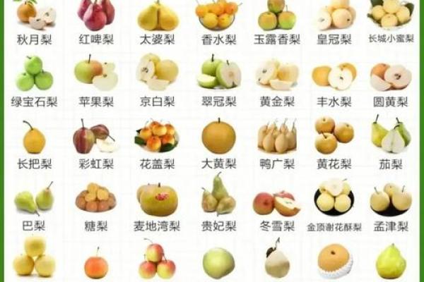 梨在五行中的分类