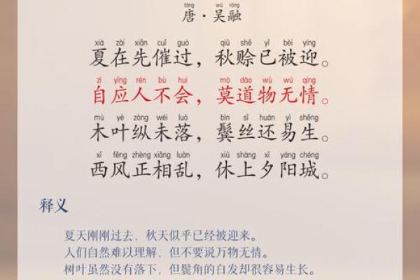 蝉声悠扬：如何为宝宝起一个充满自然韵味的名字