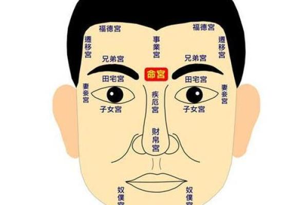 眼皮疙瘩预示运势：面相揭秘财运与健康之谜