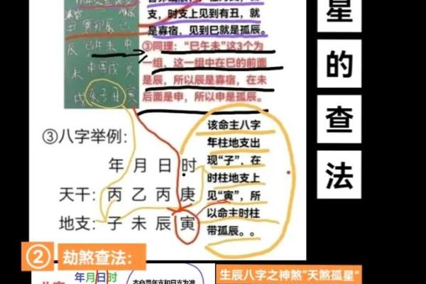 掌握免费易经算命，解读你的生辰八字