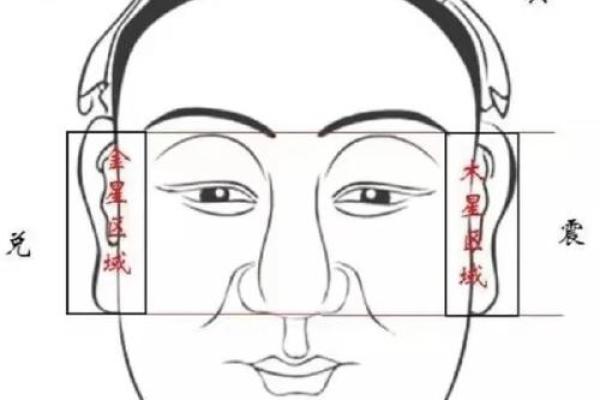 脸方头尖面相：揭秘富贵命格的神秘面相特征