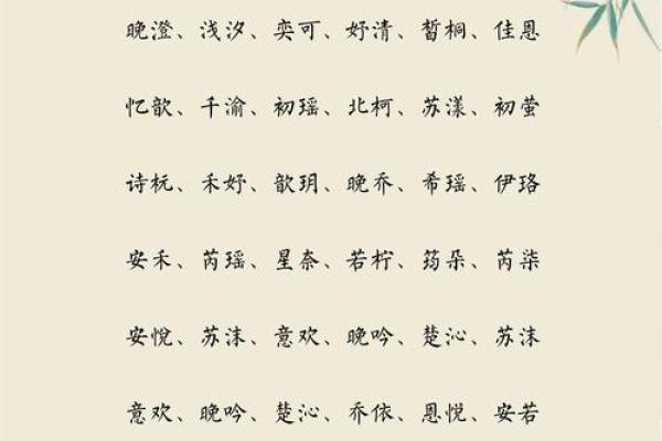 取名艺术：王辰语名字的寓意与内涵