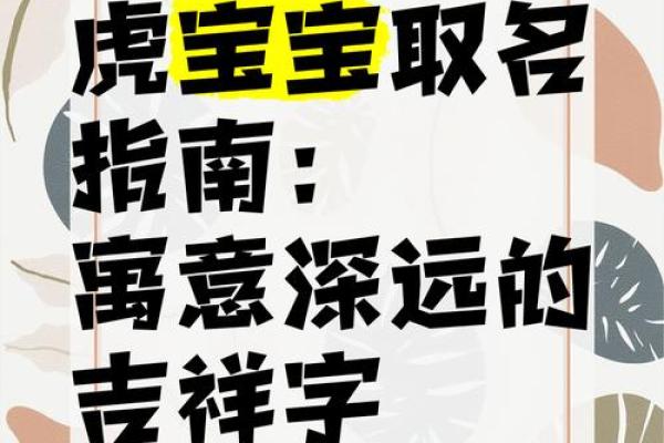 宝宝取名指南：寓意美好与吉祥的关键词选择