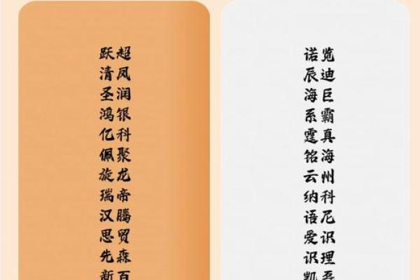 创意与传统结合：为公司命名的最佳策略