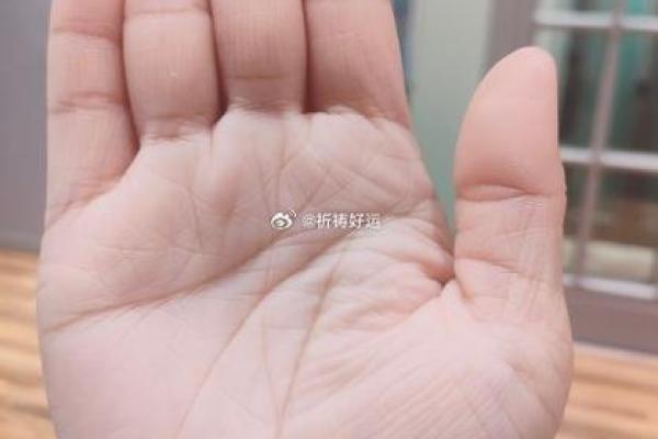 香港名人面相揭秘：运势、性格与命运之迷