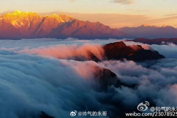 静静的名字背后蕴藏的深意与故事