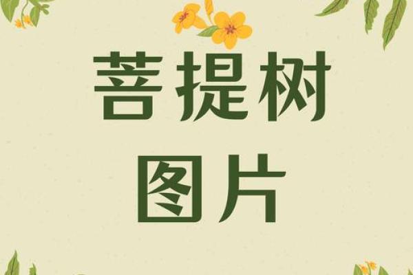 静静的名字背后蕴藏的深意与故事