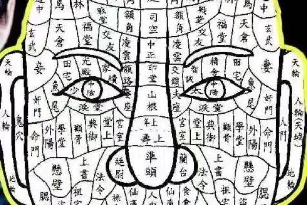 从名字看性格，芝字的独特象征