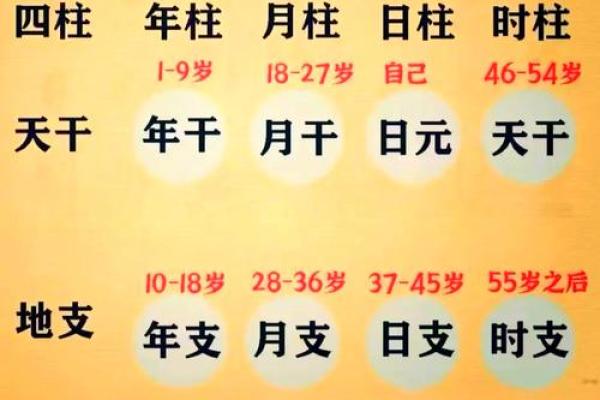 精准计算生辰八字时辰的步骤