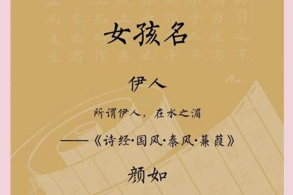 从诗经中汲取智慧为公司命名