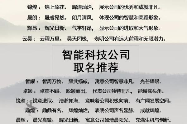 从诗经中汲取智慧为公司命名