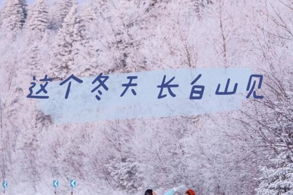 名字魅力：揭秘张雨昕名字背后的寓愿