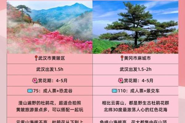 鲜花群名字创意大全，给你的群组增添一抹春意