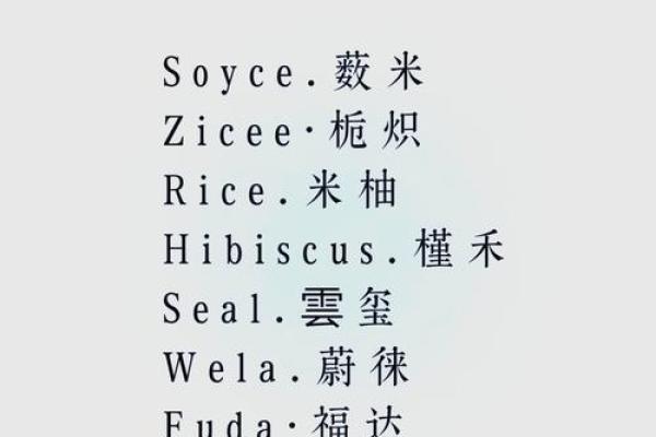 从创意到实践，如何为公司起一个响亮的名字