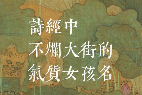含秀之名：探寻其独特的文化象征