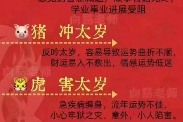 男人菱角嘴，命运多财路