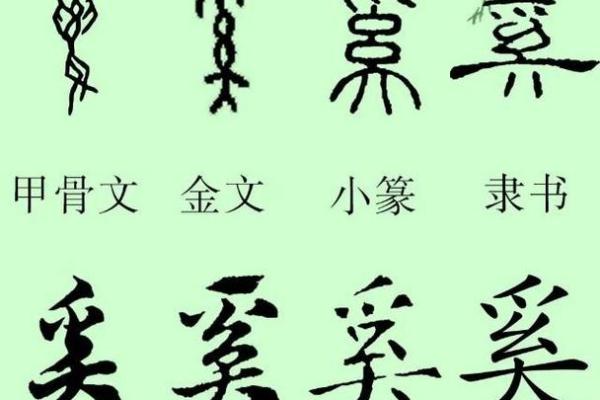 奚姓的起源与历史探析