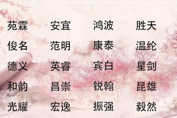 适合男孩的寓意深远又好听的名字选择