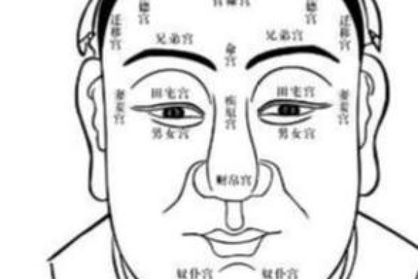 面相解析：腮大肉多预示着哪些好运与性格特质？