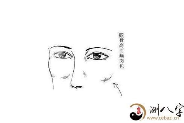 面相解析：腮大肉多预示着哪些好运与性格特质？