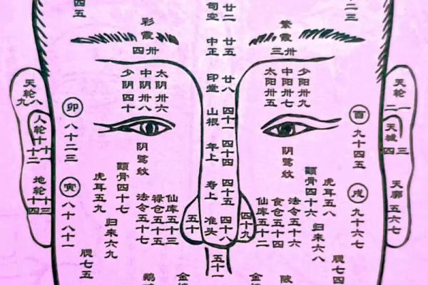 面相纹痕解读：揭示命运转折的秘密面相纹痕图解