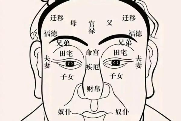 面相纹痕解读：揭示命运转折的秘密面相纹痕图解