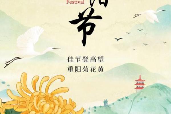 重阳节家居风水大揭秘，让家居生活更和谐