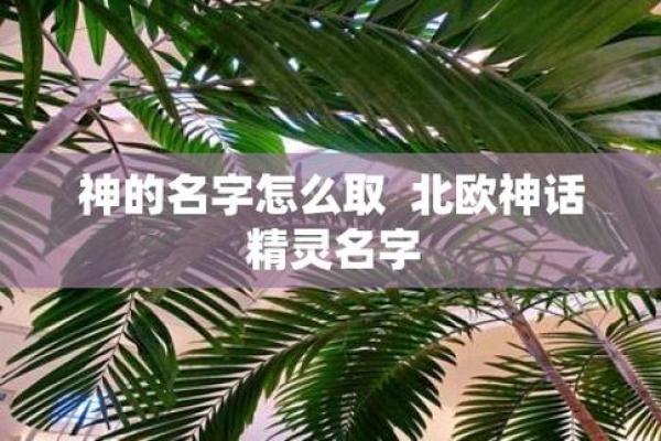如何为你的精灵起一个独特又有意义的名字