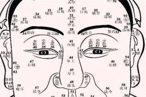 天庭宽太低面相：揭秘命运多舛的神秘面相之谜